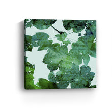 Deep Ecology-Foliage