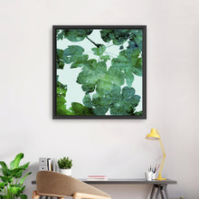 Deep Ecology-Foliage