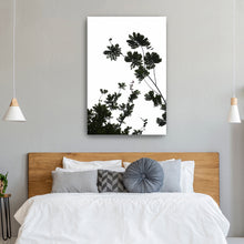 For The Love Of Foliage I