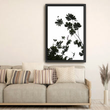 For The Love Of Foliage I