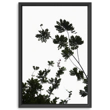 For The Love Of Foliage I