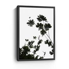 For The Love Of Foliage I