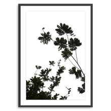 For The Love Of Foliage I