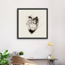 Framented Gorilla Play