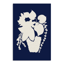 Potted - African Violet