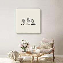 Robins - Three On A Branch