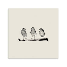 Robins - Three On A Branch