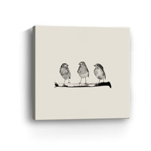 Robins - Three On A Branch