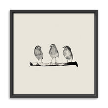 Robins - Three On A Branch