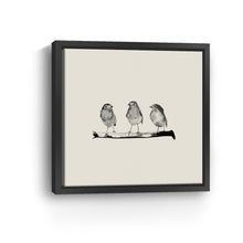 Robins - Three On A Branch