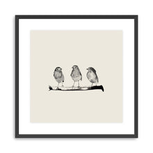 Robins - Three On A Branch