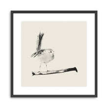 Sketched Bird On Branch