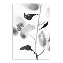 BW Botanical II