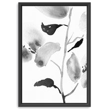 BW Botanical II