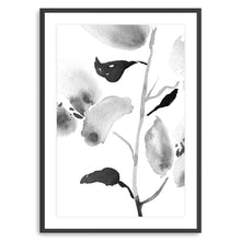 BW Botanical II