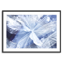 Island Rain Blues - II