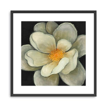 Nature's Masterpiece II