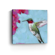 Hummingbird