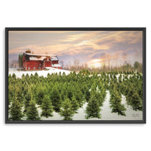 Tree Farm Red Barn Pick Your Tree