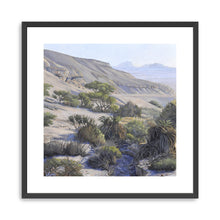 Ein Tamid Oasis Part 1