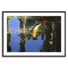 Coyo Canvas Wall Art