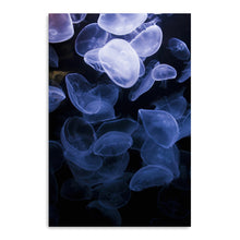 Jelly W Canvas Wall Art