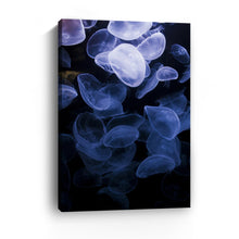 Jelly W Canvas Wall Art