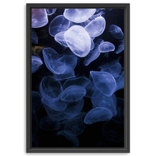 Jelly W Canvas Wall Art