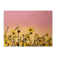 Sun Dance Canvas Wall Art