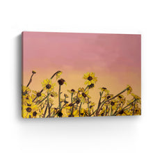 Sun Dance Canvas Wall Art