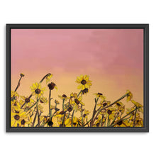Sun Dance Canvas Wall Art