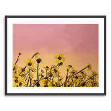 Sun Dance Canvas Wall Art