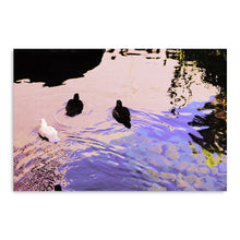 Trio Canvas Wall Art