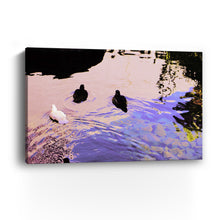 Trio Canvas Wall Art