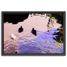 Trio Canvas Wall Art