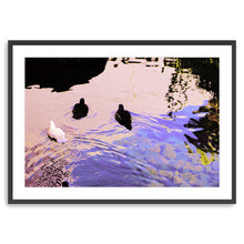 Trio Canvas Wall Art