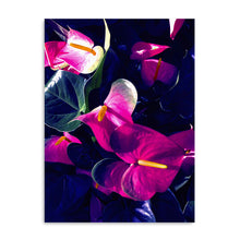 Ooh Blue Canvas Wall Art