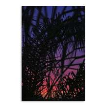 Palmset Canvas Wall Art