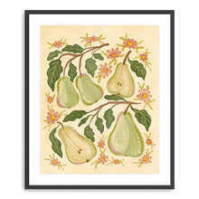 Pears and Flowers