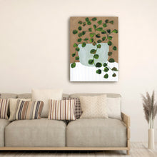 Still Life Peperomia