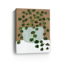 Still Life Peperomia