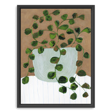 Still Life Peperomia