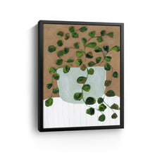 Still Life Peperomia