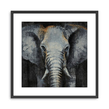 Safari Animals Elephant