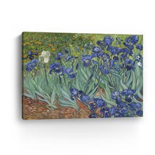 Irises, 1889 by Vincent Van Gogh