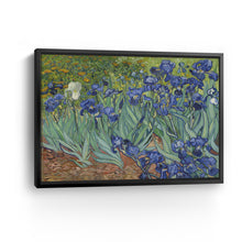 Irises, 1889 by Vincent Van Gogh