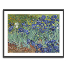 Irises, 1889 by Vincent Van Gogh