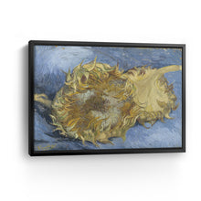 Two Sunflowers, 1887 by Vincent Van Gogh