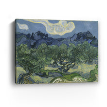 Olive Trees with the Alpilles in the Background, 1889 by Vincent Van Gogh