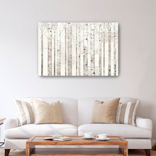 Birch Trees on White